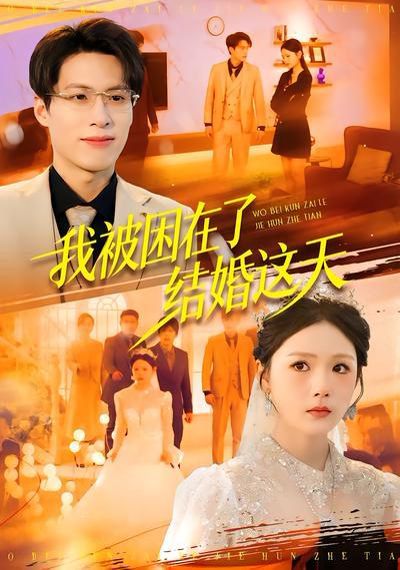 我被困在了結婚這天(全集)