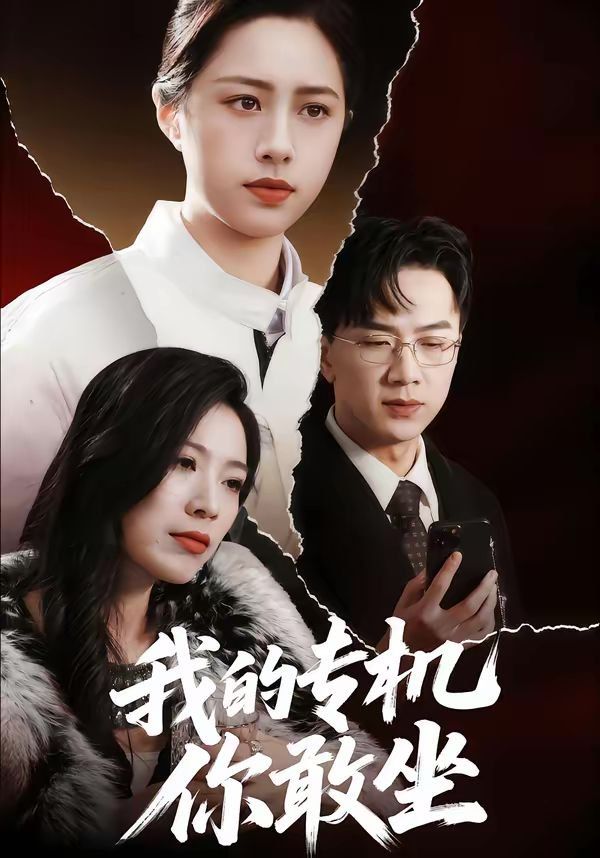 我的專機你敢坐(全集)