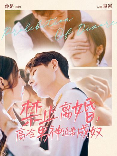 禁止離婚，高冷男神追妻成奴(全集)