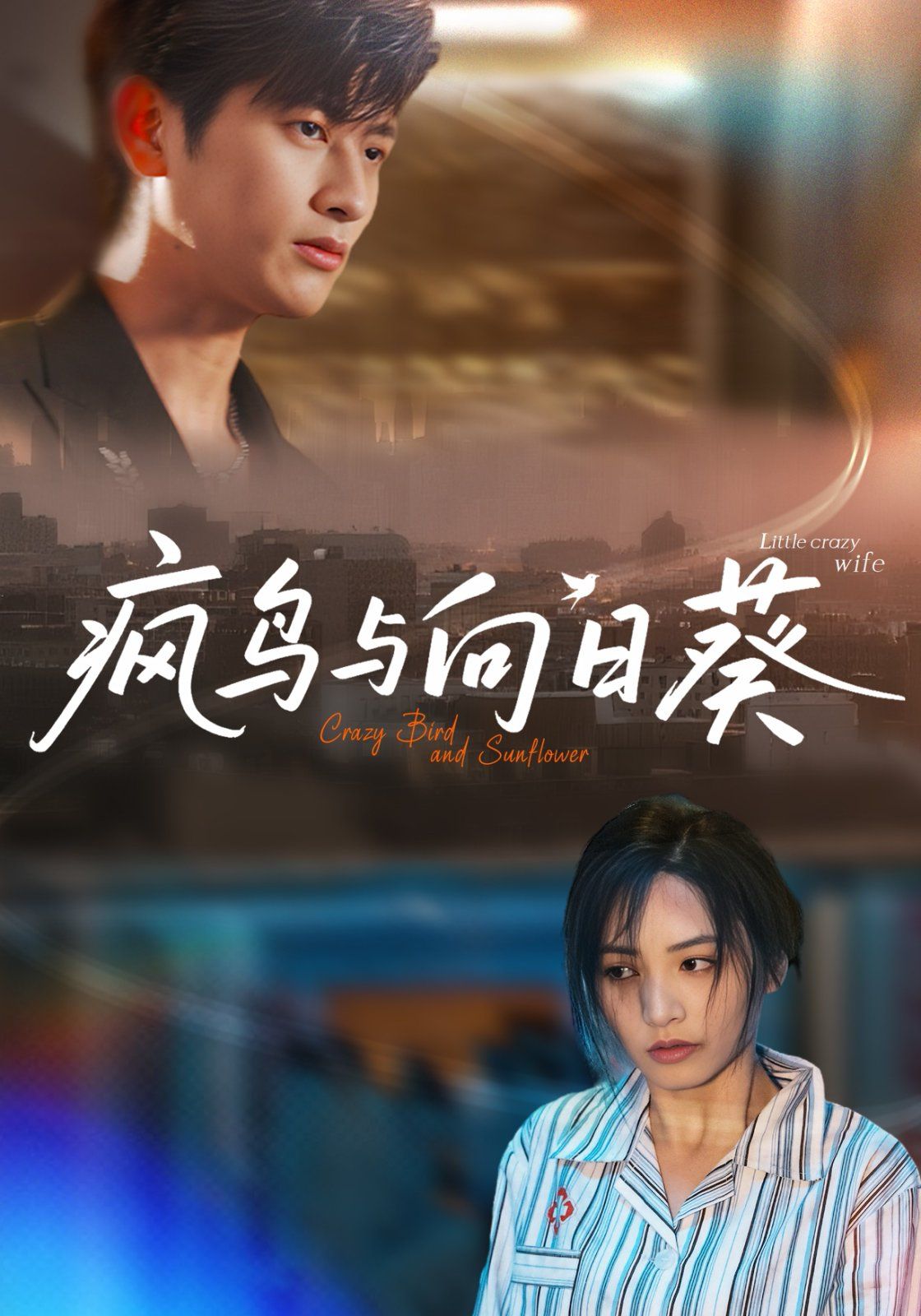 瘋鳥與向日葵(全集)