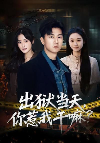 出獄當天，你惹我干嘛？(全集)
