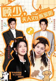 顧少，夫人又在拆家啦(全集)