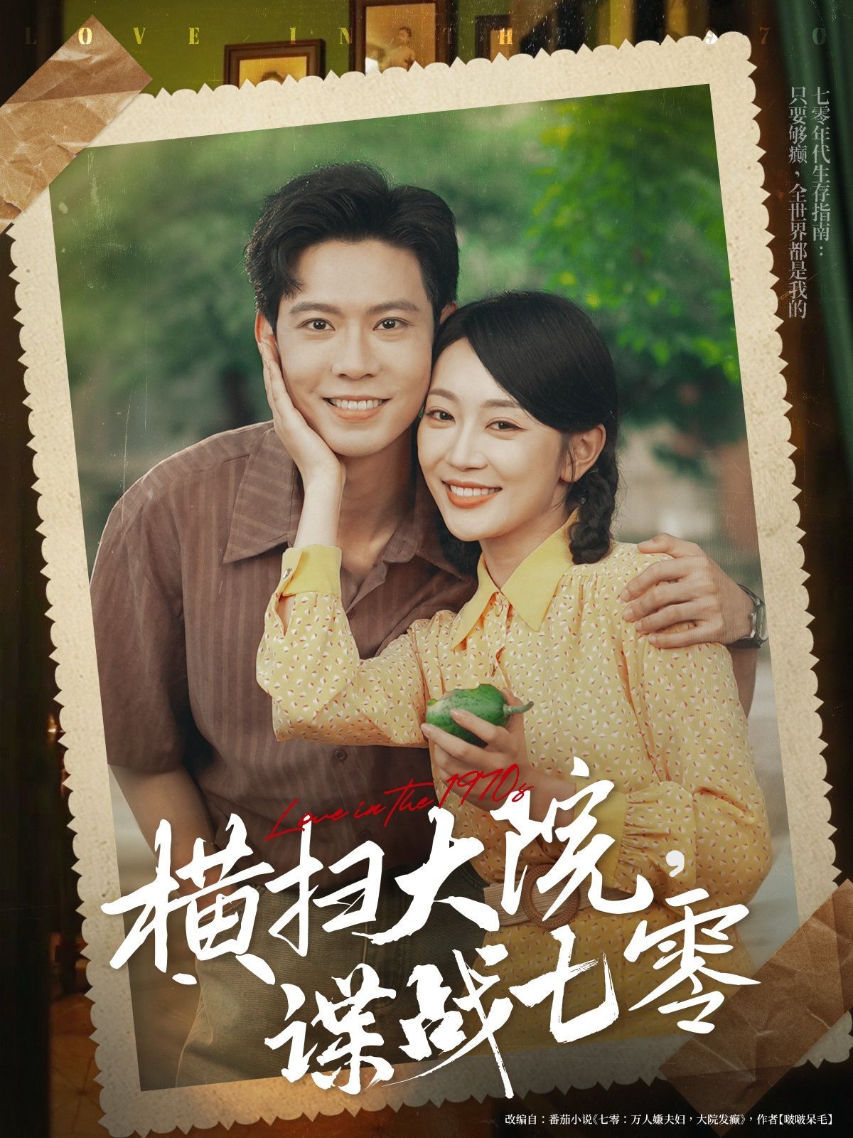 橫掃大院諜戰七零(全集)