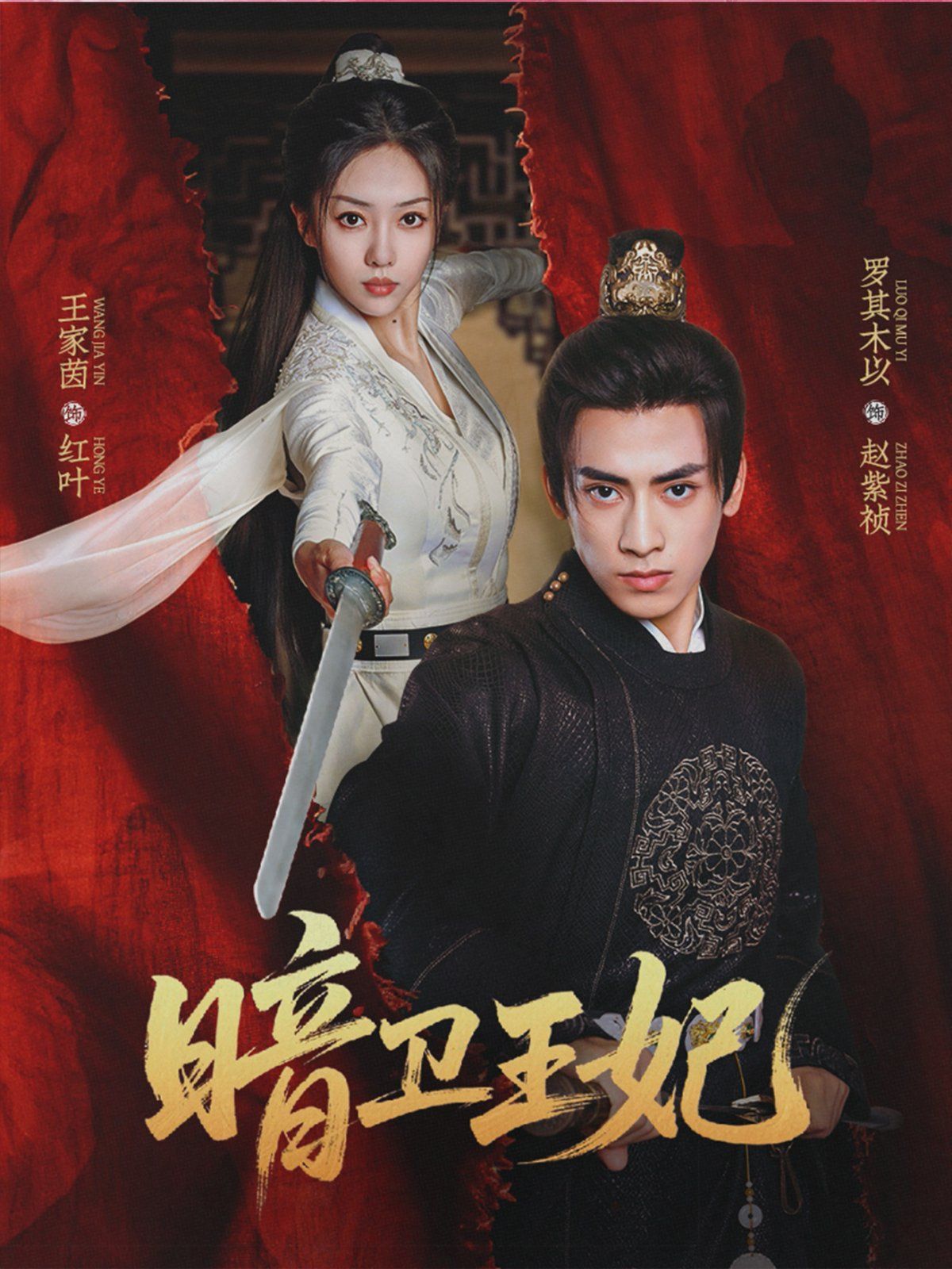 暗衛(wèi)王妃(全集)