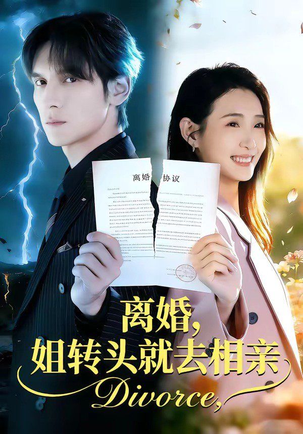 離婚，姐轉頭就去相親(全集)