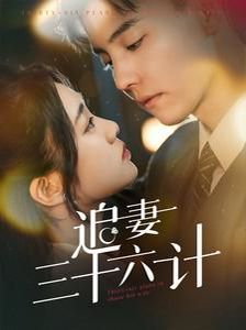 追妻三十六計(全集)