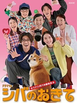 柴犬的規(guī)矩我們這群狗癡編輯部