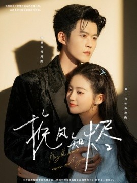 挽風知燼(全集)