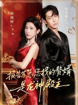 報告蘇總，您找的贊婿是龍神殿主(全集)