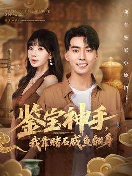 鑒寶神手，我靠賭石咸魚翻身(全集)
