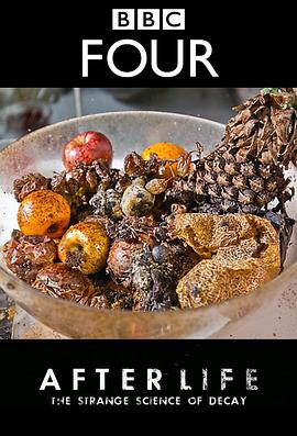 生命循環：奇異的腐爛科學(全集)