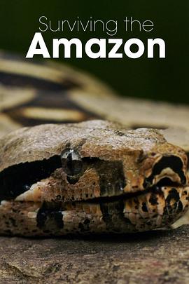 挑戰亞馬遜第一季(全集)